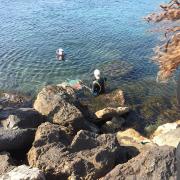 sorite mer