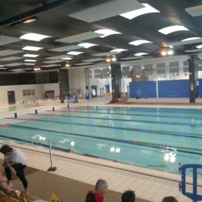 piscine de Versailles