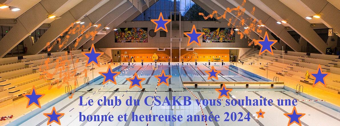 Csm piscine du kremlin bicetre c emilie legenty d075283466