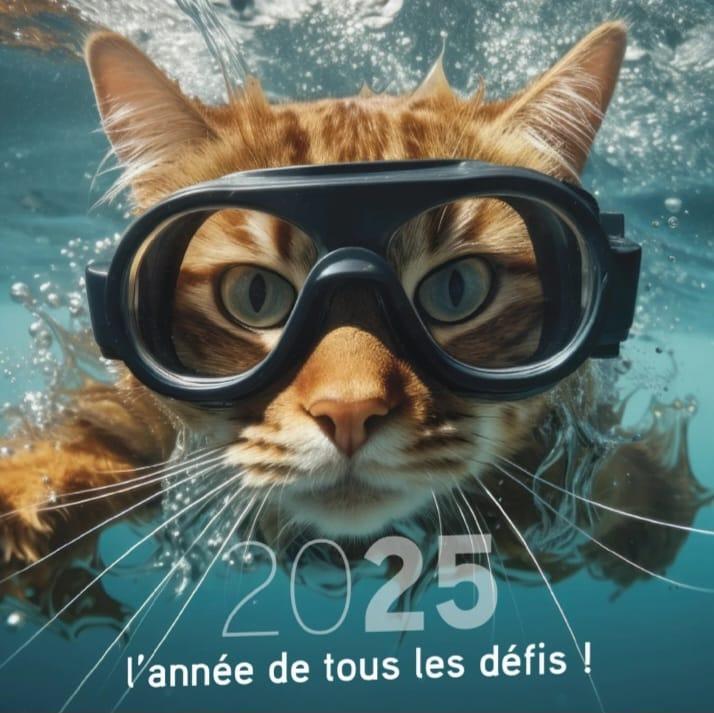 Sans titre chat